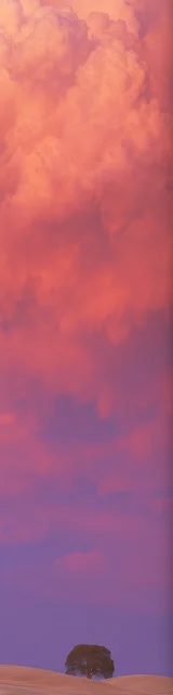 Free aesthetic bookmark featuring a pink hazy sky with a big cloud